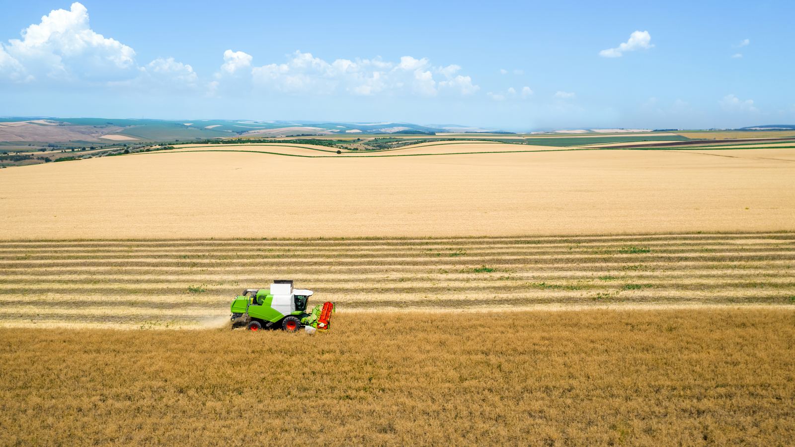 Harvester working a wheat field